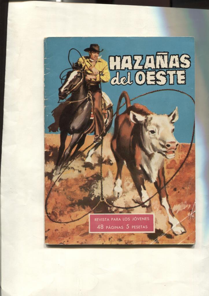 Hazañas del Oeste numero 29: Wagon Train: La ruta del miedo, dibujo de Mariano Raul