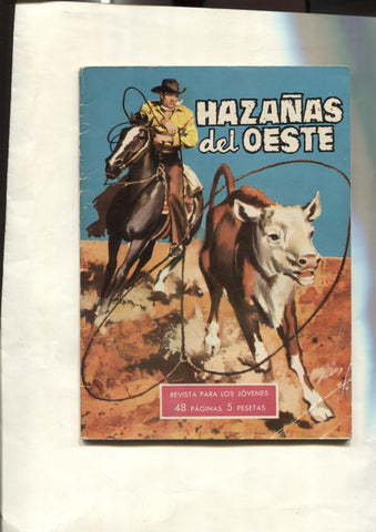 Hazañas del Oeste numero 29: Wagon Train: La ruta del miedo, dibujo de Mariano Raul