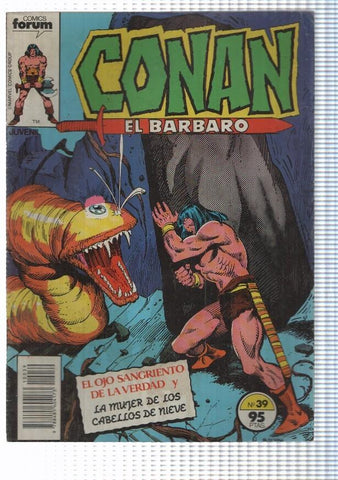 forum: Conan el Barbaro num. 39 - El Ojo sangriento de la verdad. De Matteis, Buscema