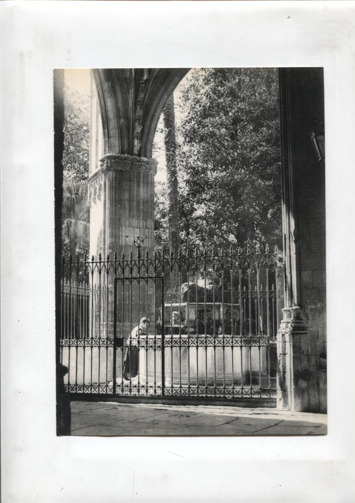 50 racons de Barcelona lamina 18: Claustro de la catedral