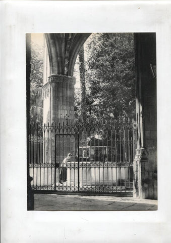 50 racons de Barcelona lamina 18: Claustro de la catedral