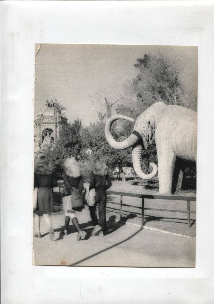 50 racons de Barcelona lamina 35: Mamut del Parque de la Ciudadela