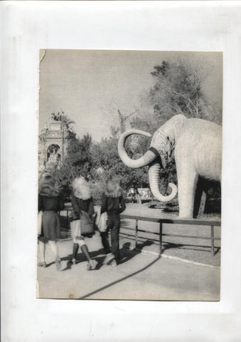 50 racons de Barcelona lamina 35: Mamut del Parque de la Ciudadela