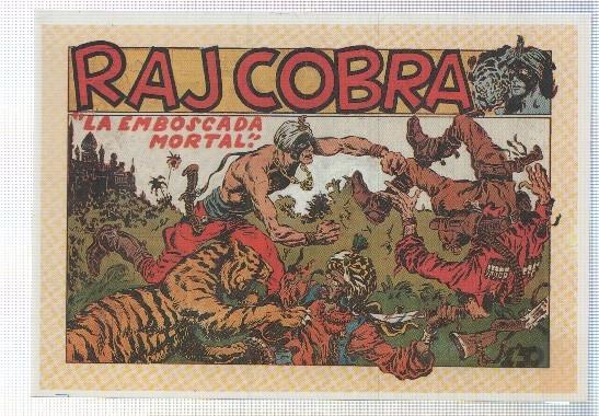 Ficha tebeo numerada 133: Raj Cobra, dibujo de J.Laffond  y L.Vigil