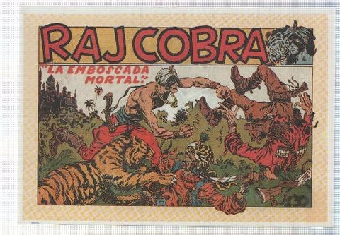 Ficha tebeo numerada 133: Raj Cobra, dibujo de J.Laffond  y L.Vigil
