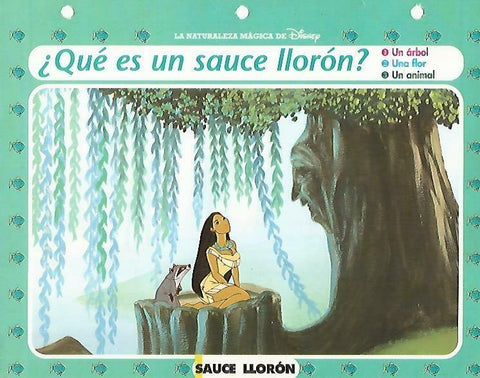 LAMINA 14098: Sauce lloron. Secretos con  Pocahontas