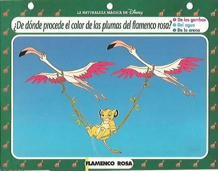 LAMINA 14140: Flamenco rosa. Secretos con el Rey Leon