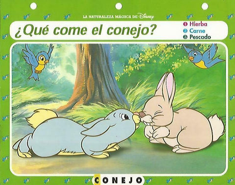 LAMINA 14134: Conejo. Secretos con  Blancanieves