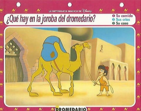 LAMINA 14125: Dromedario. Secretos con Aladdin