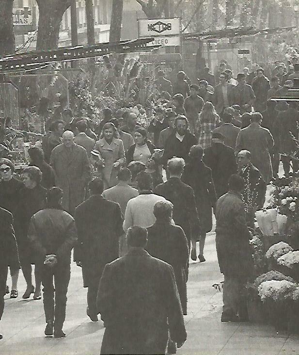 LAMINA 13928: Vista de las Ramblas de Barcelona