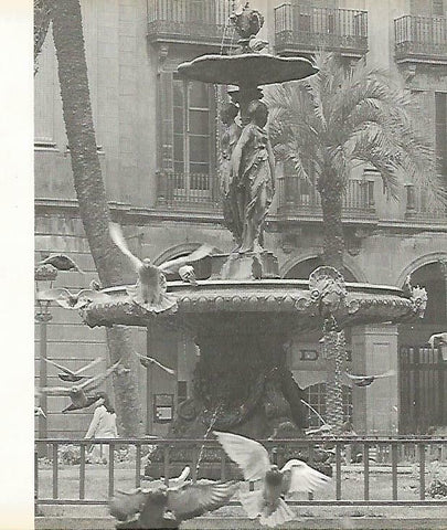 LAMINA 13925: Fuente de la Plaza Real de Barcelona