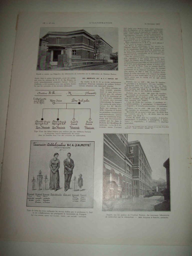 LAMINA 15172: Instituto Pasteur