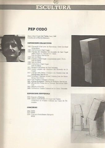 LAMINA 15237: Esculturas de Pep Codo