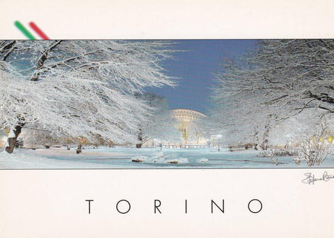 POSTAL B13131: TORINO: VISTA PANORAMICA