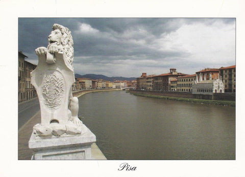 POSTAL B13123: ITALIA: PISA: VISTA PANORAMICA