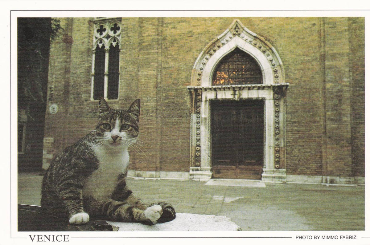 POSTAL B13113: VENECIA: VISTA PANORAMICA