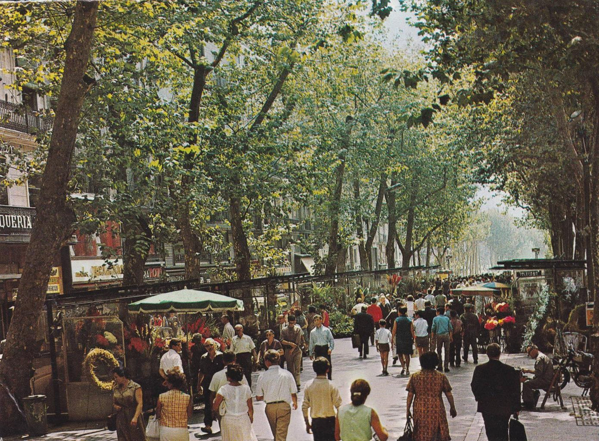 POSTAL B13216: BARCELONA. RAMBLA DE LAS FLORES