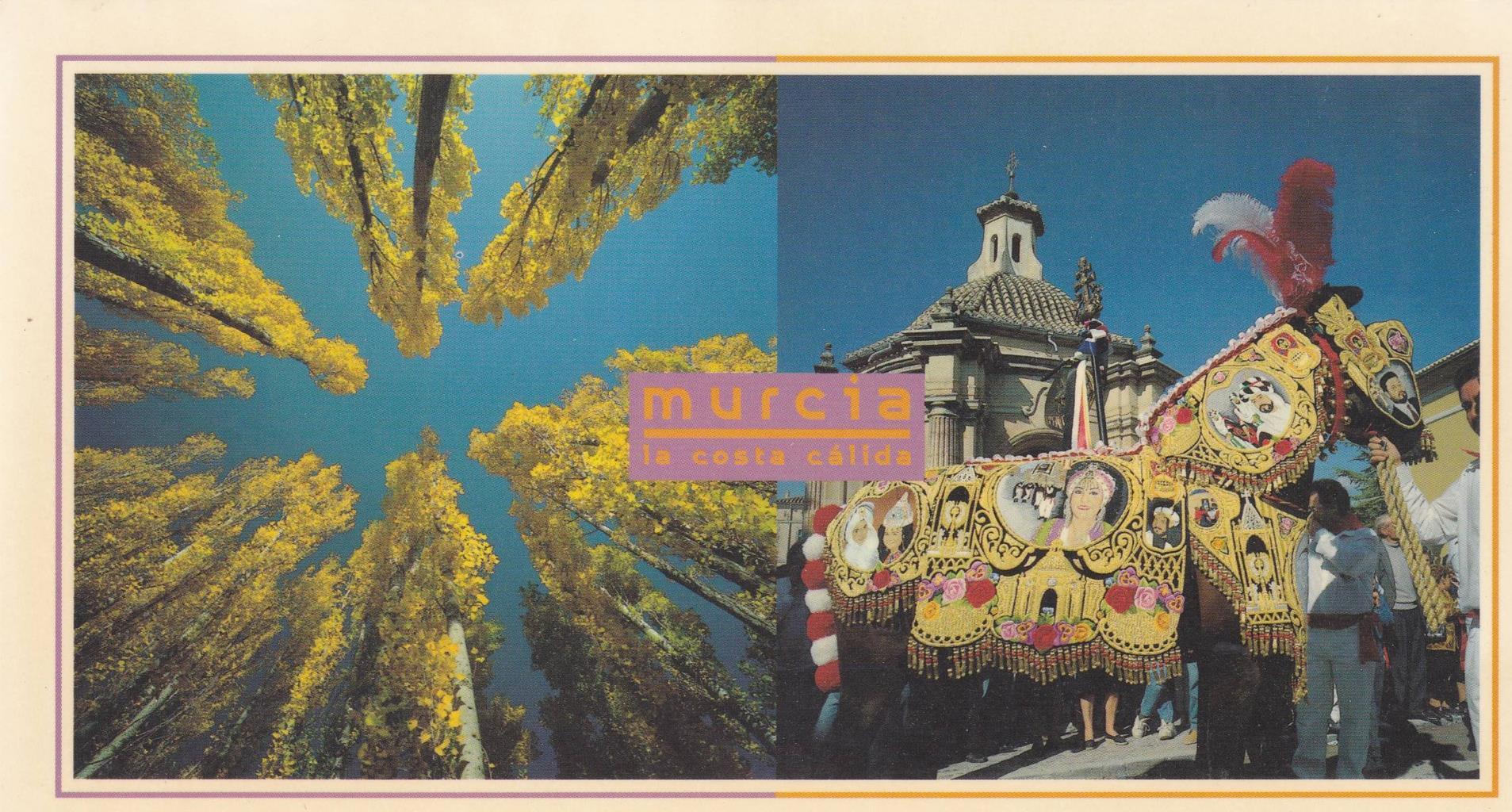 POSTAL B13190: CARAVACA. CAVALLOS DE VINO