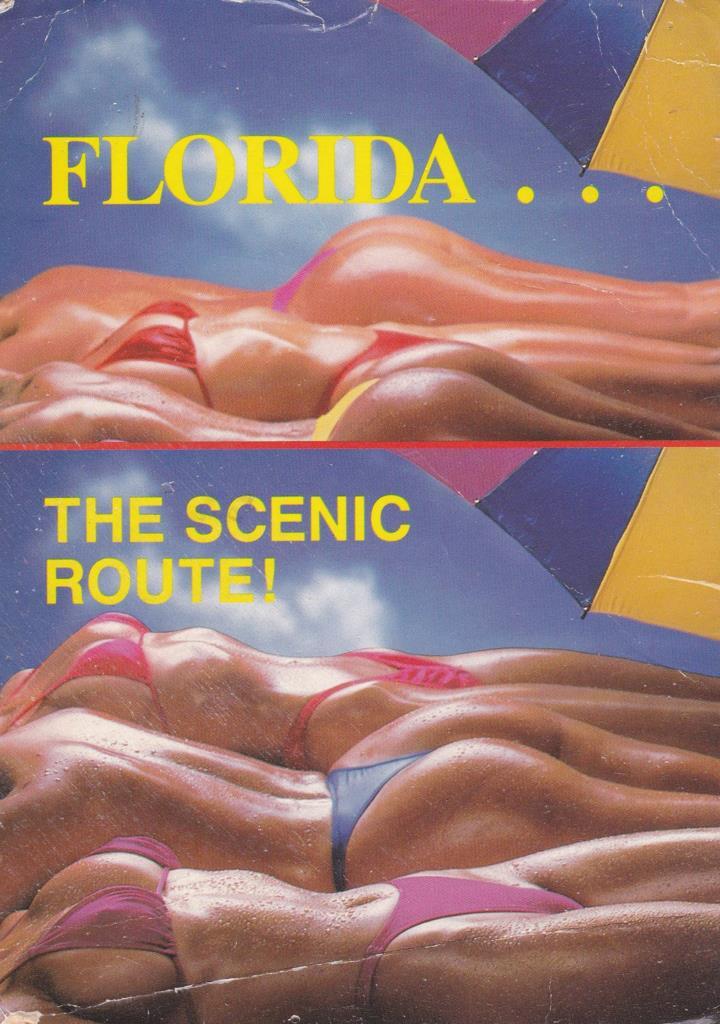 POSTAL B13187: FLORIDA. THE SCENIC ROUTE