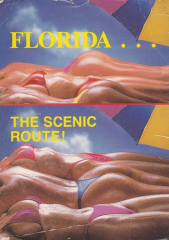 POSTAL B13187: FLORIDA. THE SCENIC ROUTE