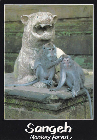 POSTAL B12999: BALI: BOSQUE DE LOS MONOS