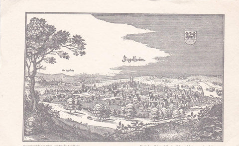 POSTAL B12952: MAPA ILUSTRADO CIUDAD DE NIEDEN