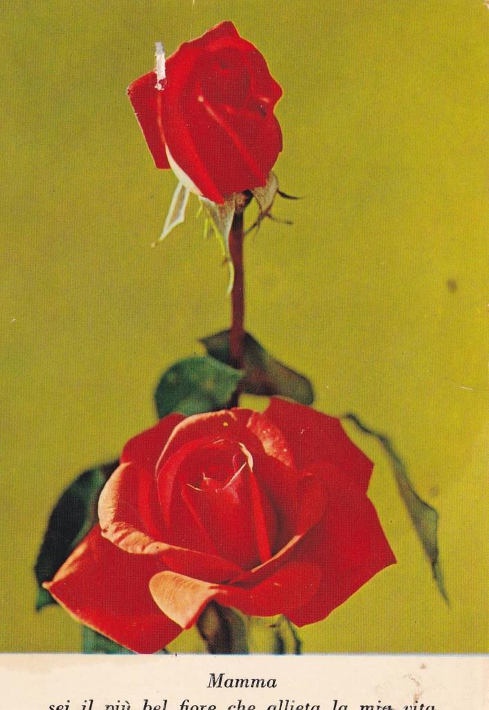 POSTAL B12941: POSTAL FLORAL. ROSAS ROJAS