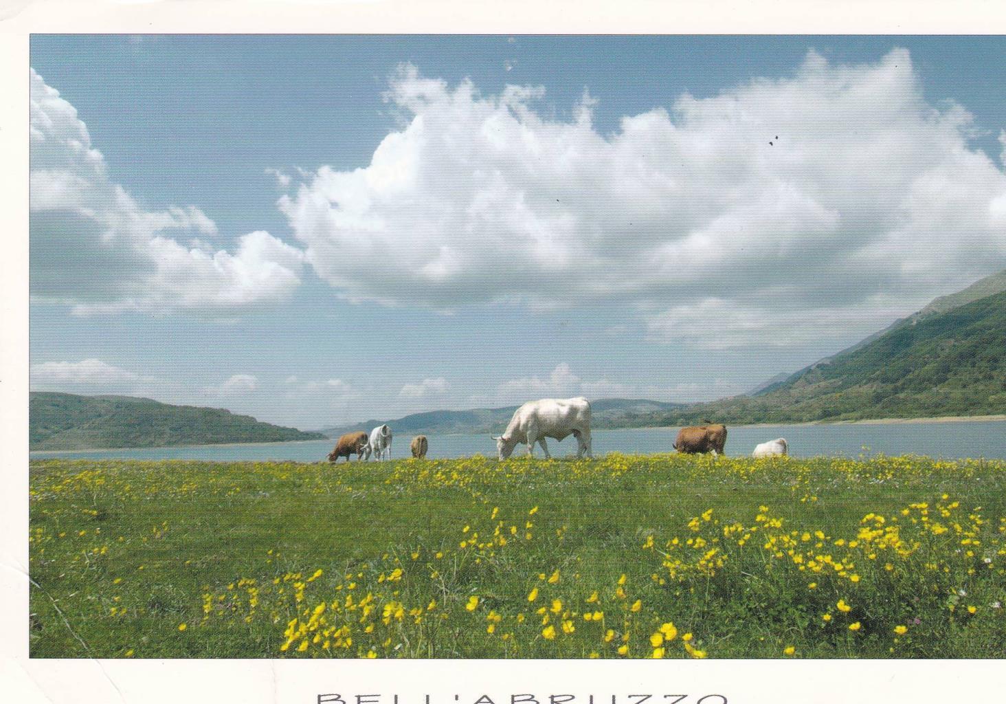 POSTAL B12956: ITALIA: BELL'ABRUZZO