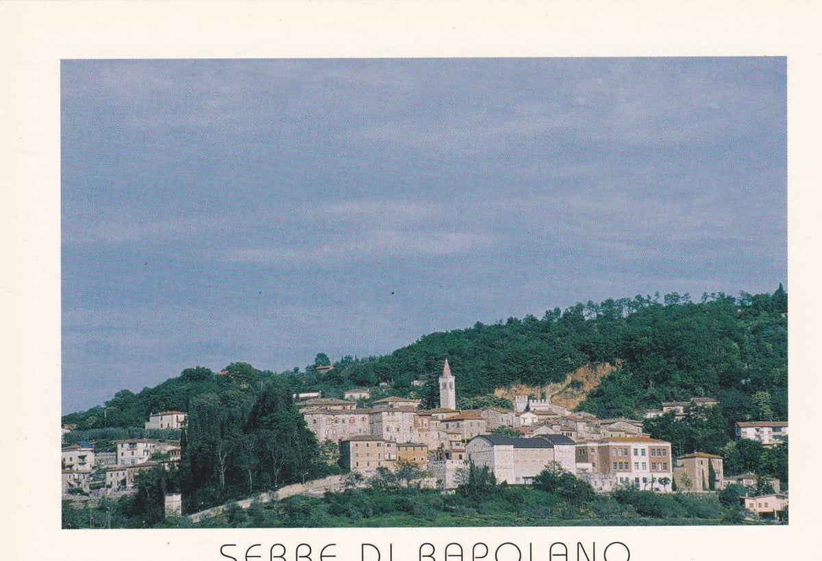 POSTAL B13056: SERRE DI RAPOLANO. VISTA AEREA