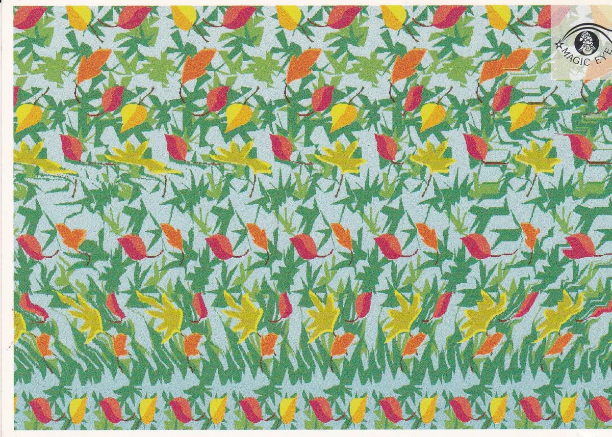 POSTAL B13029: MAGIC EYE: IMAGEN OCULTA. DIVERSOS ASPECTOS