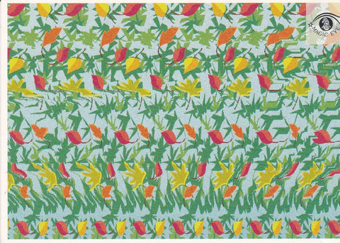 POSTAL B13029: MAGIC EYE: IMAGEN OCULTA. DIVERSOS ASPECTOS