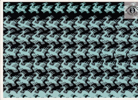 POSTAL B13023: MAGIC EYE: IMAGEN OCULTA. DIVERSOS ASPECTOS