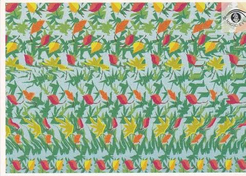 POSTAL B13031: MAGIC EYE: IMAGEN OCULTA. DIVERSOS ASPECTOS
