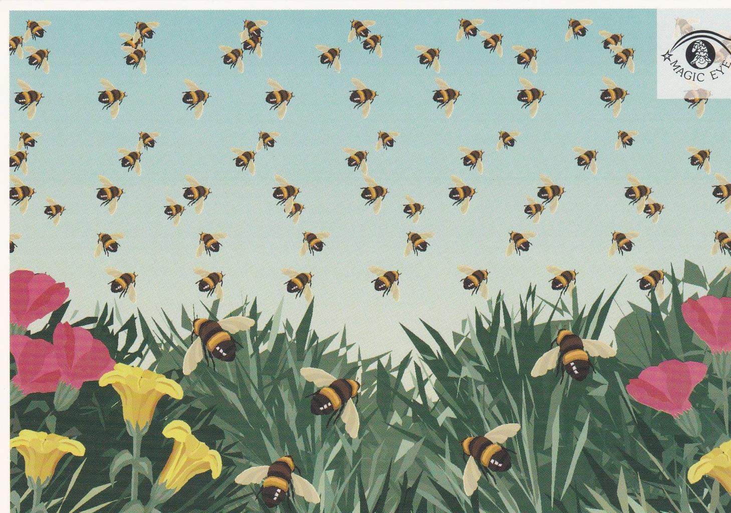 POSTAL B13034: MAGIC EYE: IMAGEN OCULTA. DIVERSOS ASPECTOS