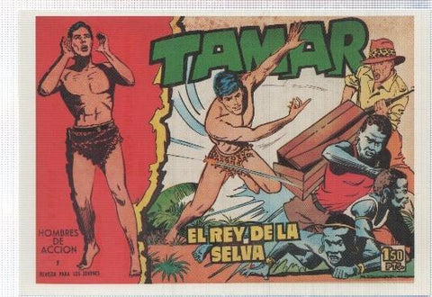 Ficha tebeo numerada 496: Tamar, edit Toray (dibujo Antonio Borrel)