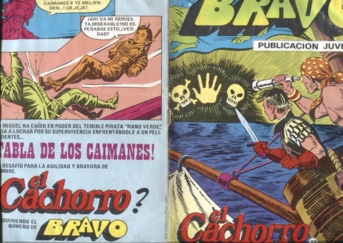 El Cachorro serie Bravo numero 17: Fantasmas en la noche (numerado 2 en interior, AVIEJADO)