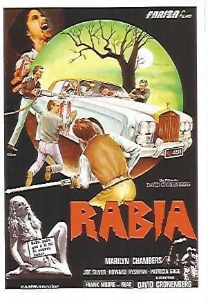 LAMINA 17737: Rabia