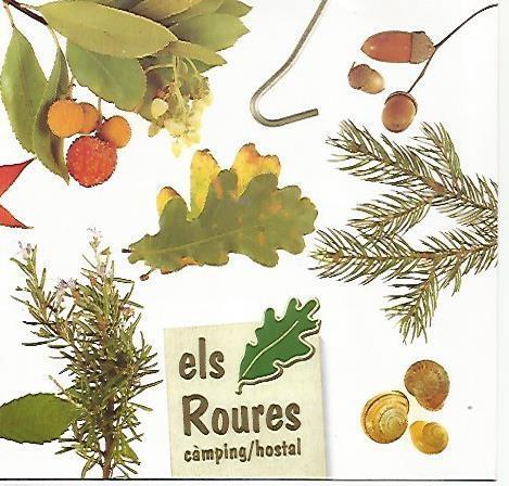 LAMINA 17761: Prospecto publicitario de Camping Els Roures