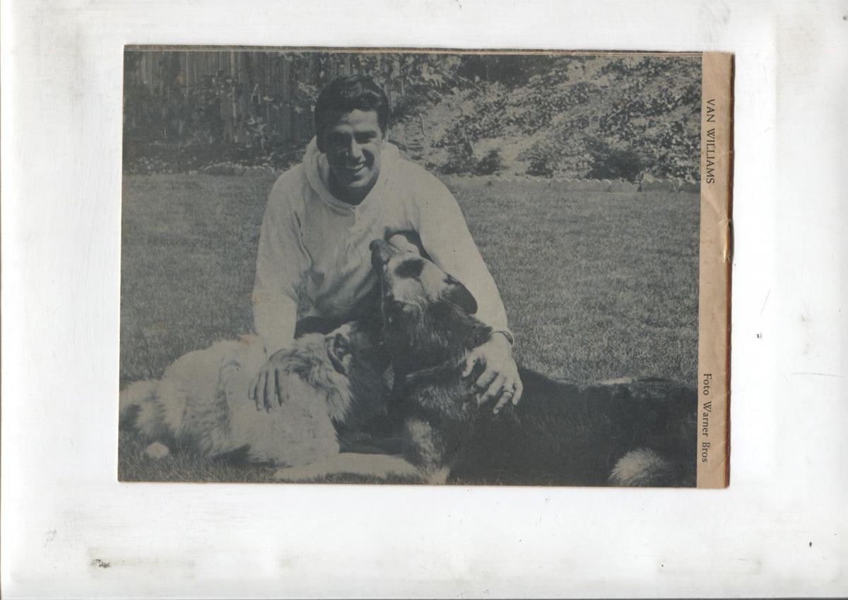 Mary Noticias numero 158: trasera foto de Van Williams