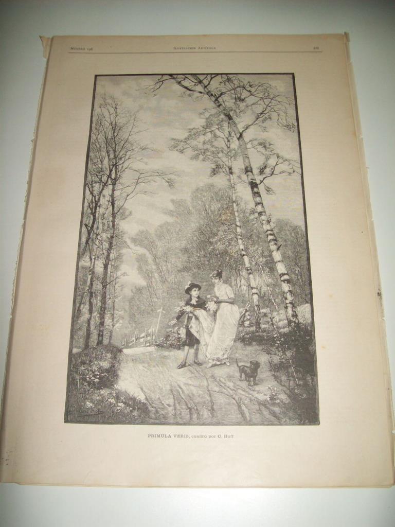 LAMINA ILUSTRACION ARTISTICA 19815: Primula Veris, por Hoff