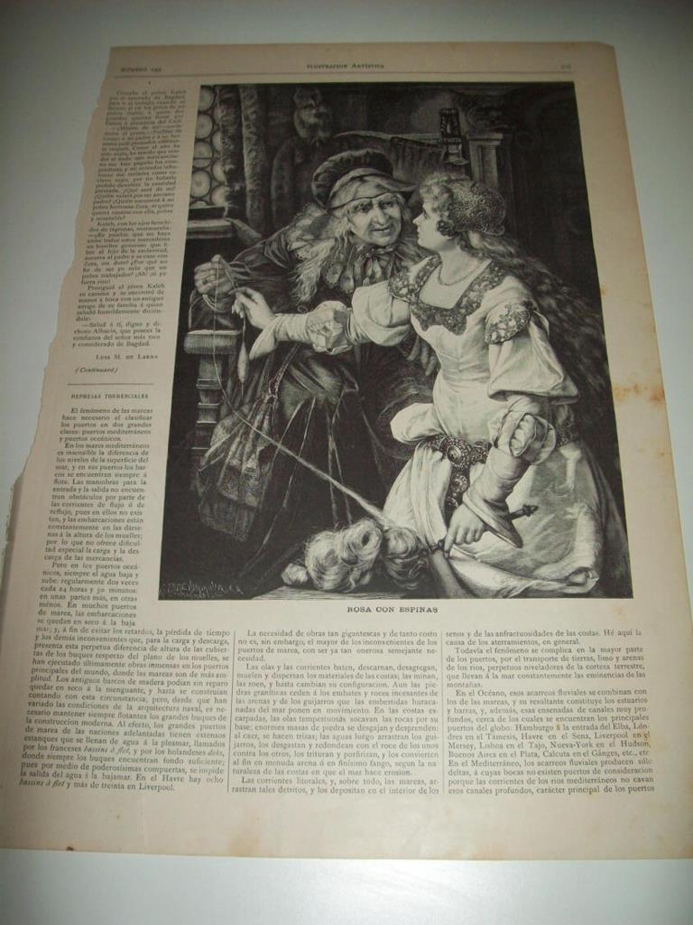 LAMINA ILUSTRACION ARTISTICA 19820: Rosa con espinas