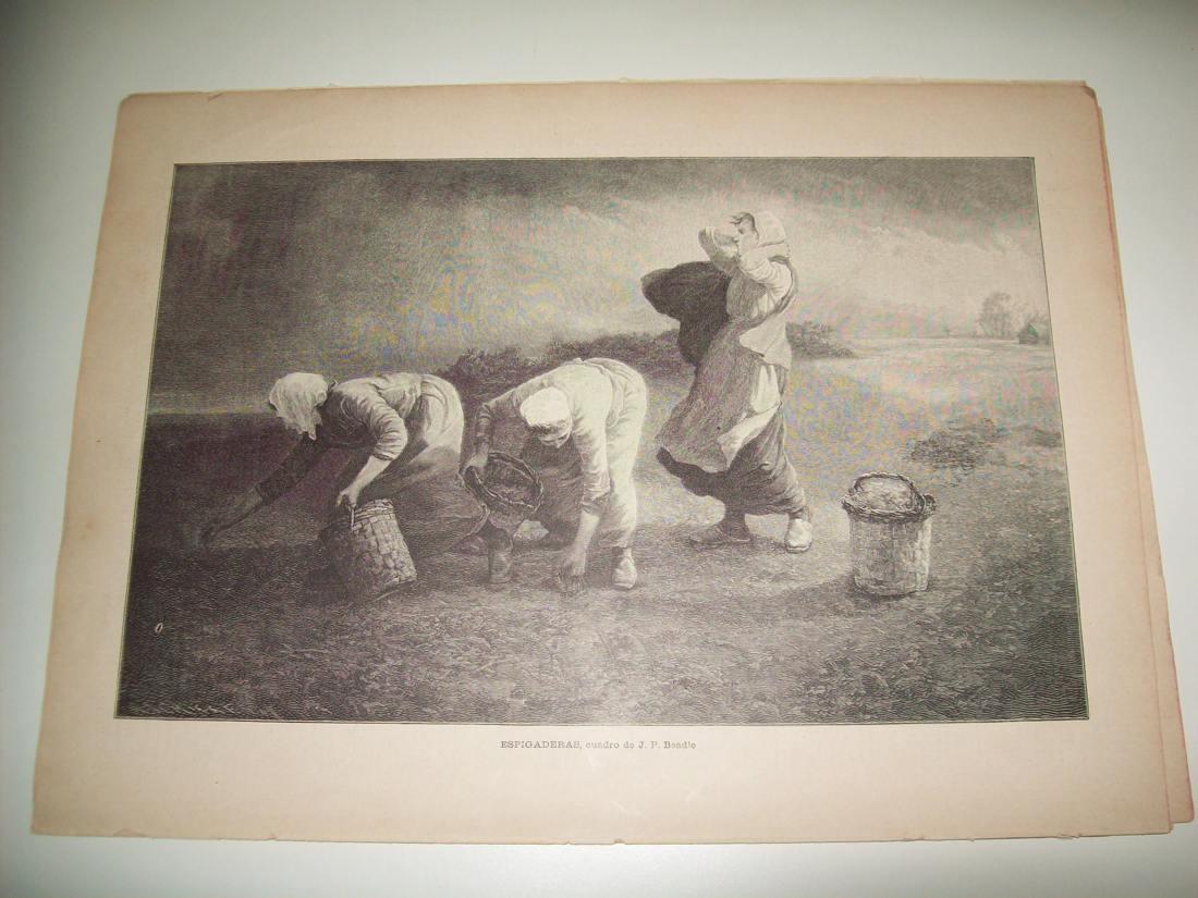 LAMINA ILUSTRACION ARTISTICA 19954: Espigaderas, por J. P. Beadle
