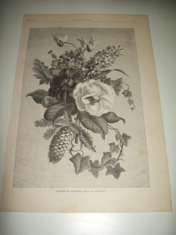 LAMINA ILUSTRACION ARTISTICA 19739: Flores de invierno, por Hirt