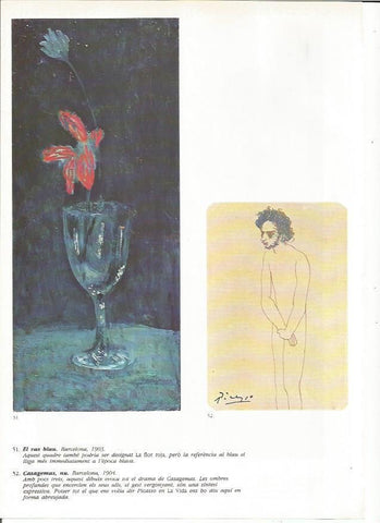LAMINA 19371: El vaso azul y Casagemas, desnudo
