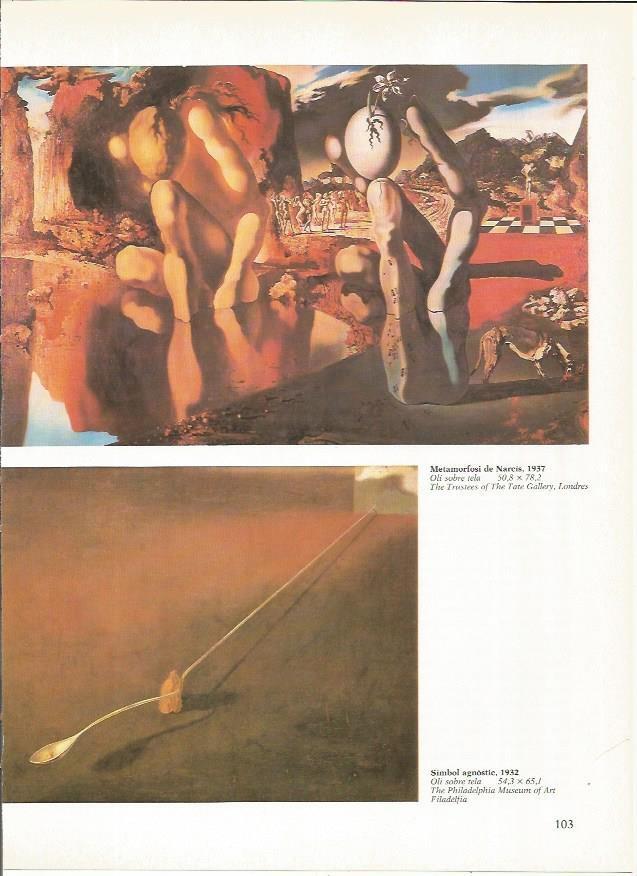 LAMINA 19304: Metamorfosis de Narciso, por Dali