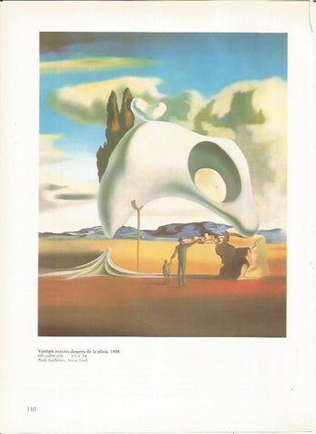 LAMINA 19307: Vestigios atavicos despues de la lluvia, por Dali