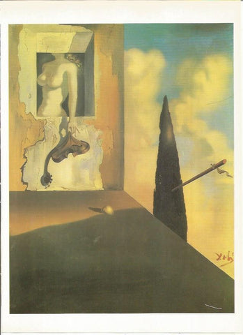 LAMINA 19283: Instrumento masoquista, por Dali