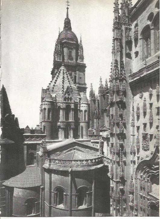 LAMINA 19561: Catedral vieja de Salamanca