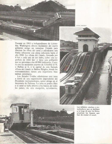 LAMINA 19589: Mulas del Canal de Panama