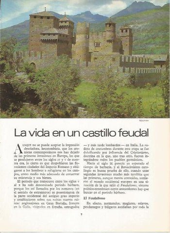 LAMINA 19512: Castillo de Dulevant